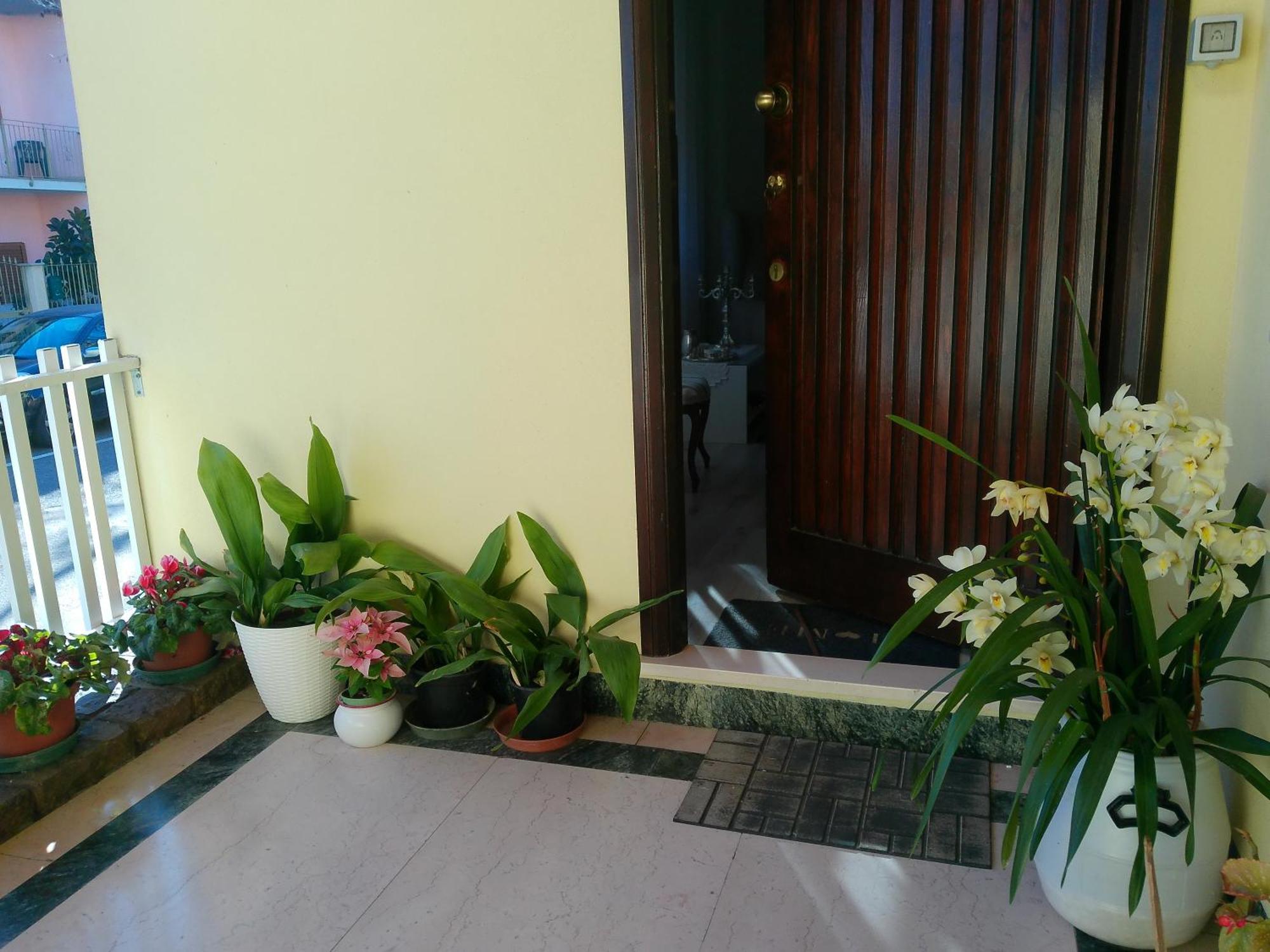 Cappuccini Apartments オリスターノ エクステリア 写真